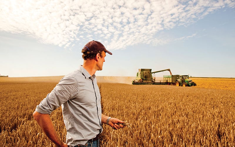 Proljetna prihrana pospješuje jačanje vlati