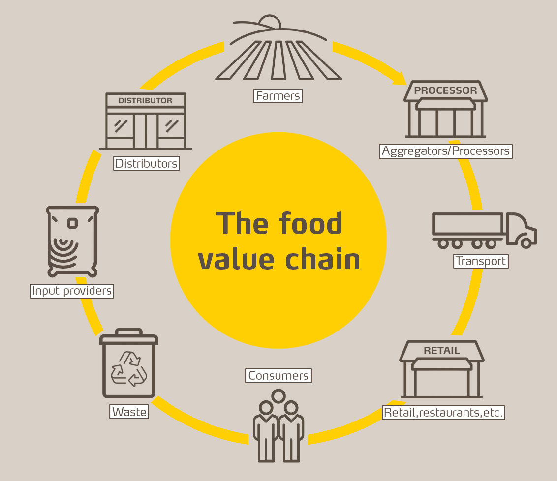 Diagram of the food value chain