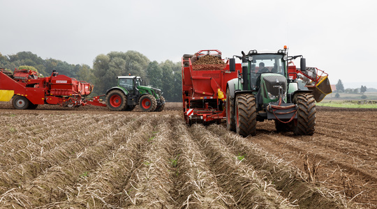 Folijarna prihrana povećava rast gomolja krumpira